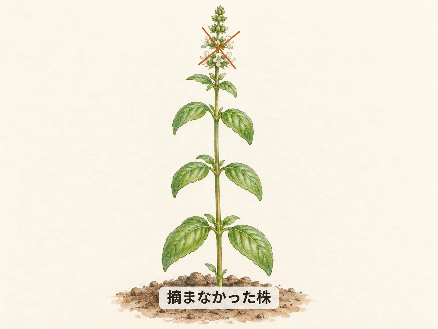 摘まなかった株